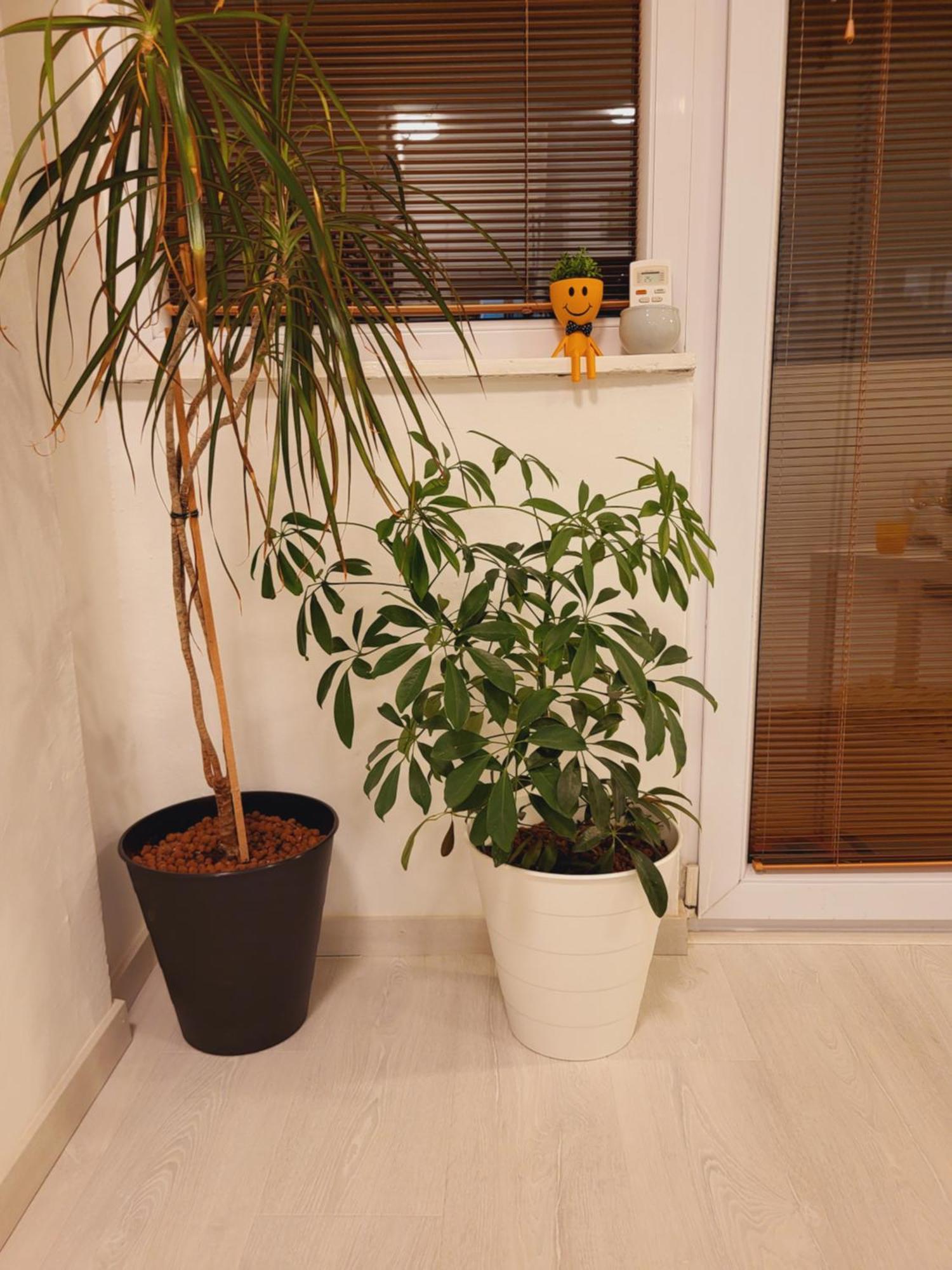 City Center White Apartment! Skopje Ngoại thất bức ảnh
